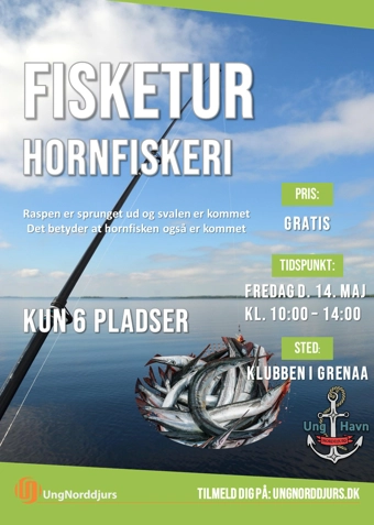 Hornfiskeri med René - Klik for at tilmelde dig