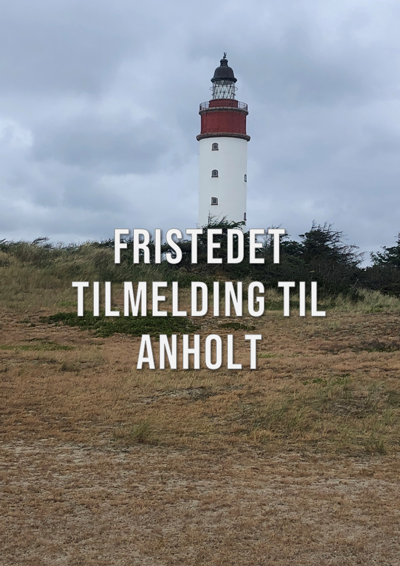 Foto sommerlejr Anholt