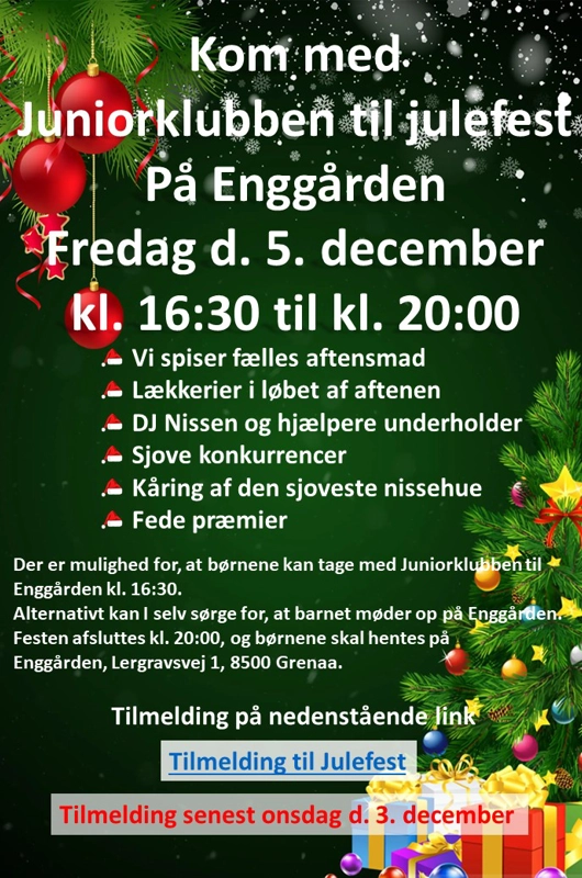Foto Julefest 