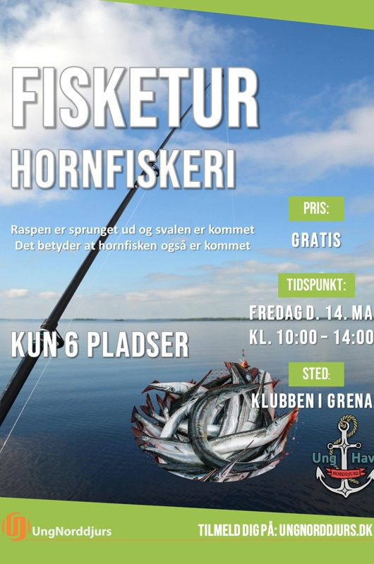 Fisketur plakat