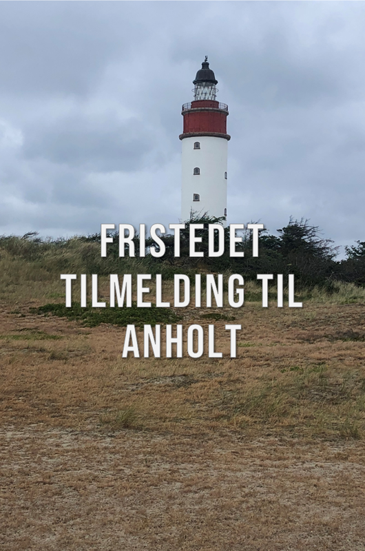 Foto sommerlejr Anholt