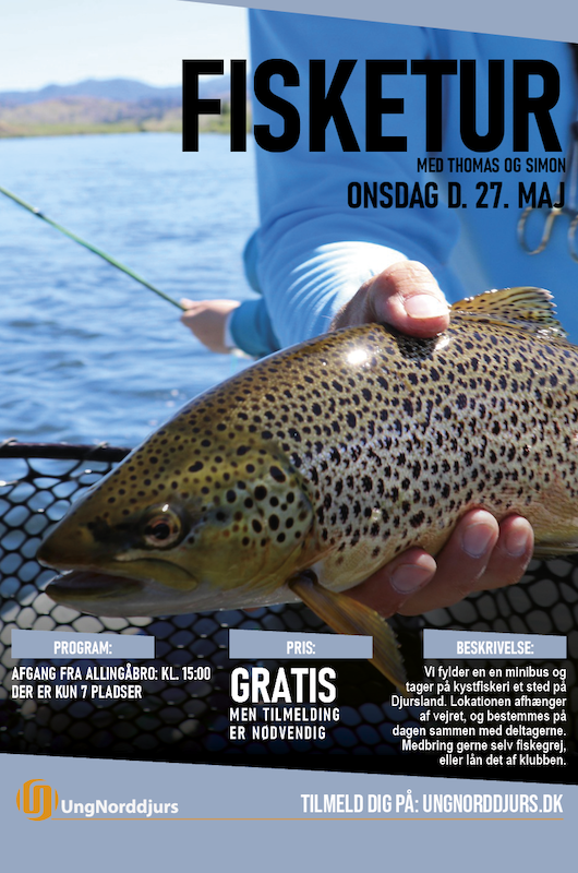 Fisketur plakat